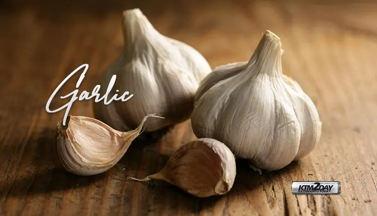 Garlic Health Benefits