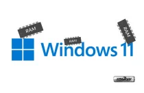 Windows 11 Memory Leak