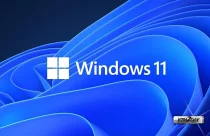 Windows 11 bug