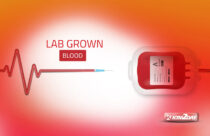 Lab Grown Blood