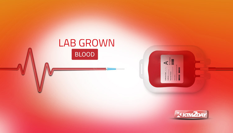 Lab Grown Blood