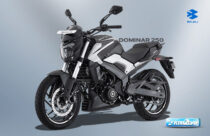 Bajaj Dominar 250 Price in Nepal : Specs and Features